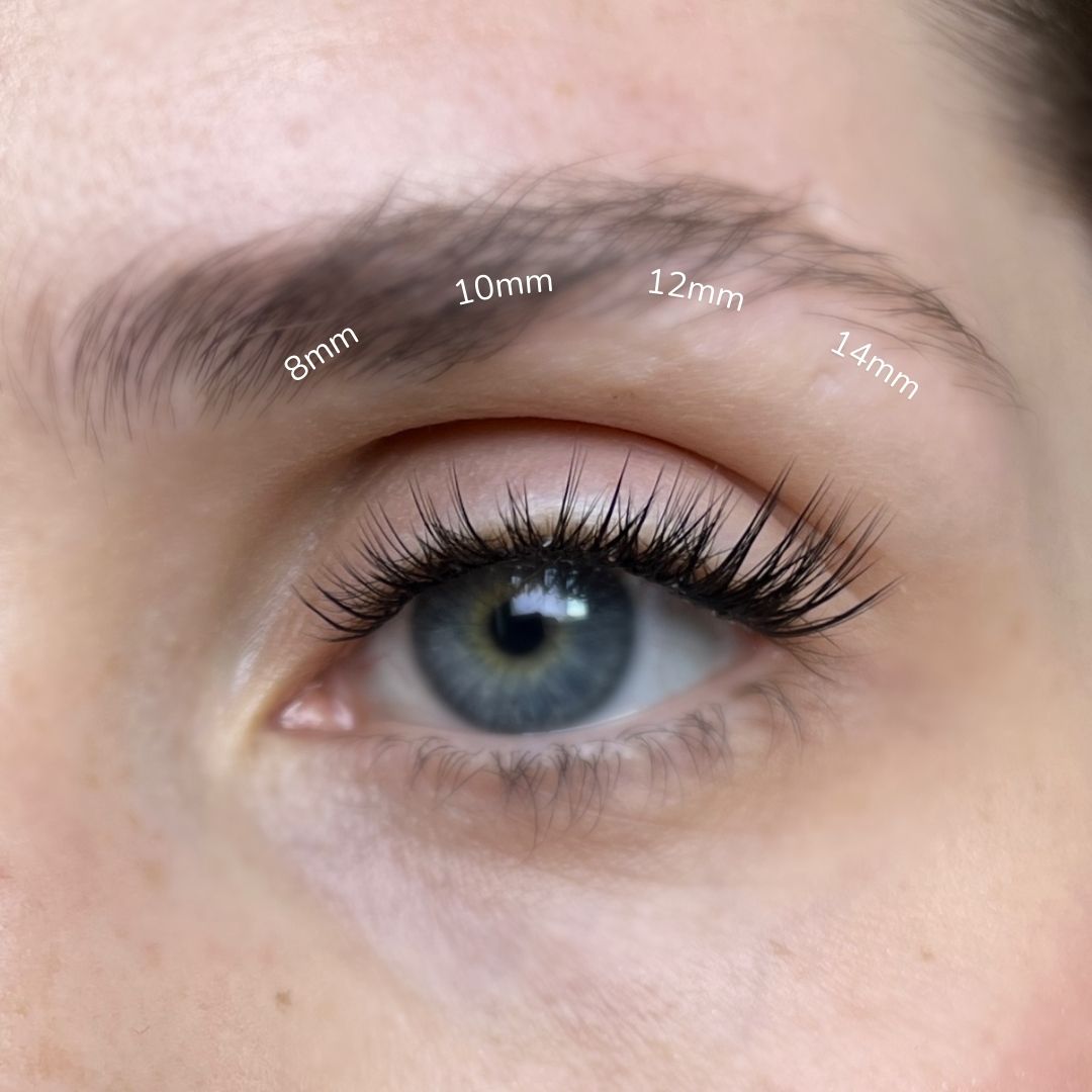 Lashable CLEAN GAL samolepicí pre-glued řasy - Lashable