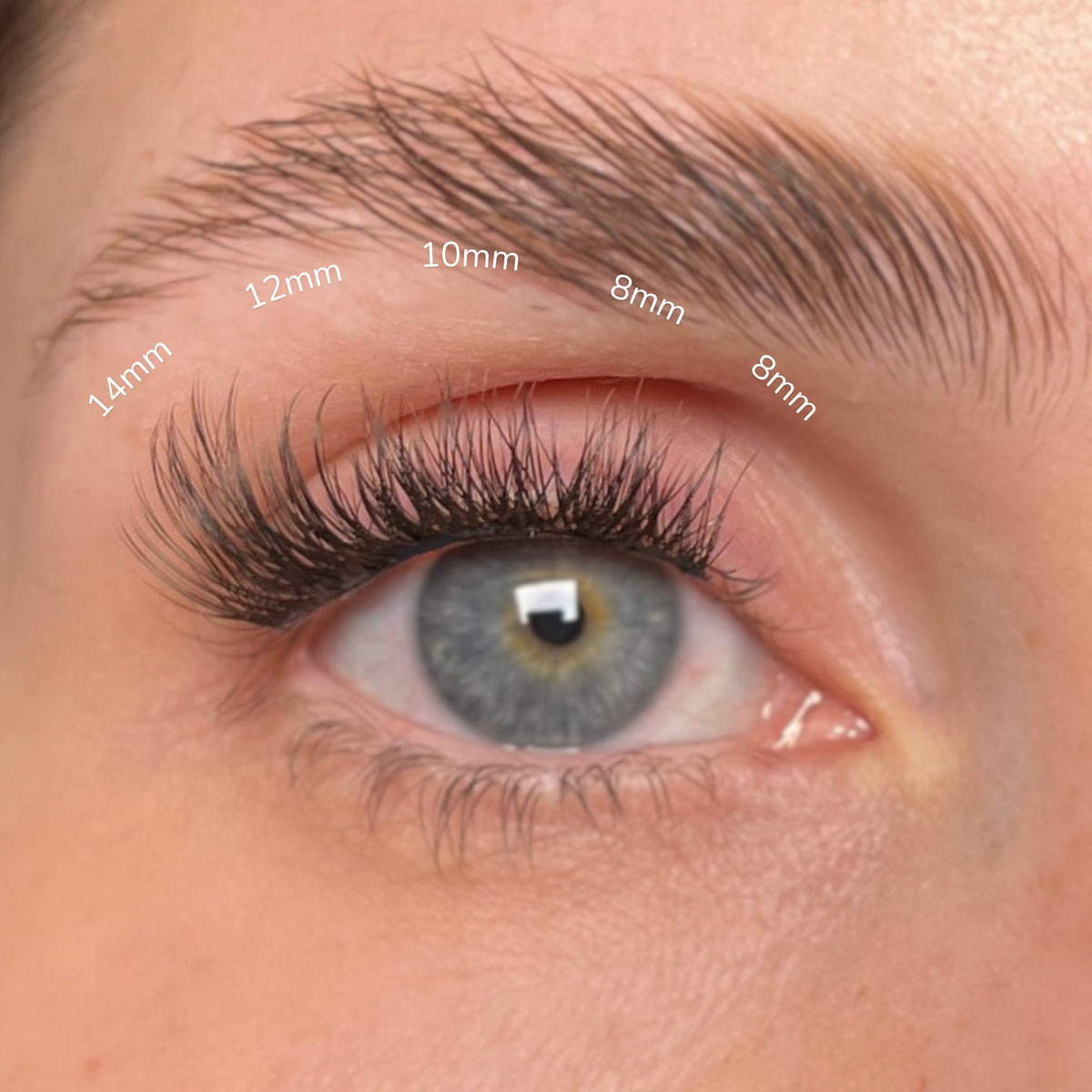 Lashable LASH BAND Vol. 1 – řasové pásky - Lashable